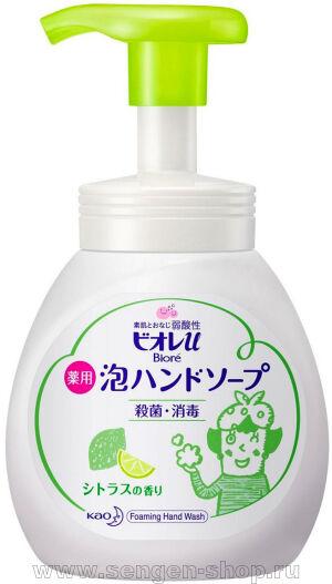     KAO Biore U Foaming Hand Soap Citrus,      , 250.