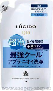    (40+)          MANDOM Lucido Deodorant Shampoo Extra Cool,  , Q10   ,   ,  ,  , 380.