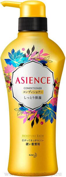     KAO Asience Moisturizing Conditioner,   , , ,     , 450.