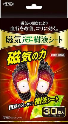 -   TO-PLAN "POWER SAP SHEET",       (   ,  ) 30./.