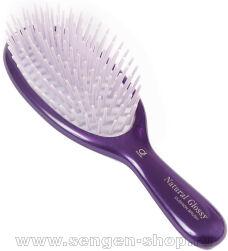  Ikemoto Natural Glossy Brush,       .